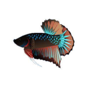 Devil Plakat Betta